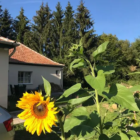 21 Es Fel Fenyo Vendeghaz *