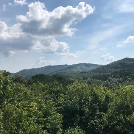 Daire 21 Es Fel Fenyo Vendeghaz