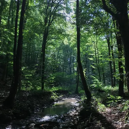 Daire 21 Es Fel Fenyo Vendeghaz *