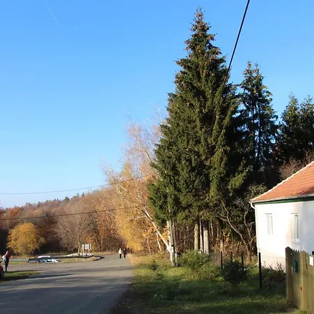 Daire 21 Es Fel Fenyo Vendeghaz *