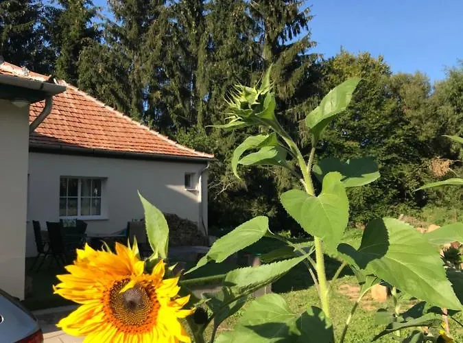 21 Es Fel Fenyo Vendeghaz *