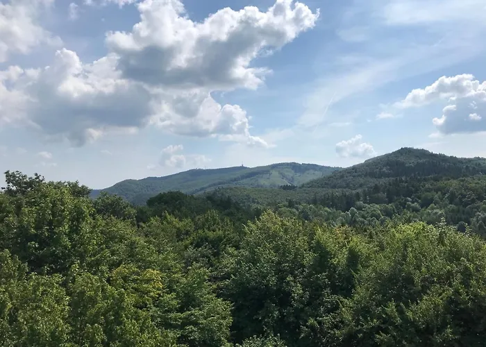 公寓 21 Es Fel Fenyo Vendeghaz