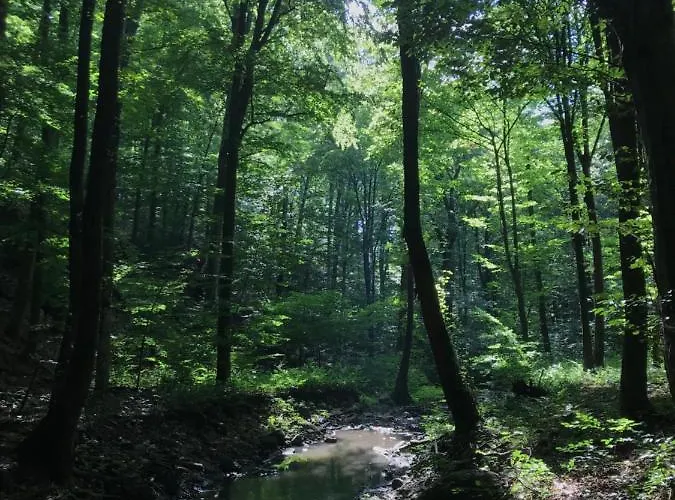 公寓 21 Es Fel Fenyo Vendeghaz *