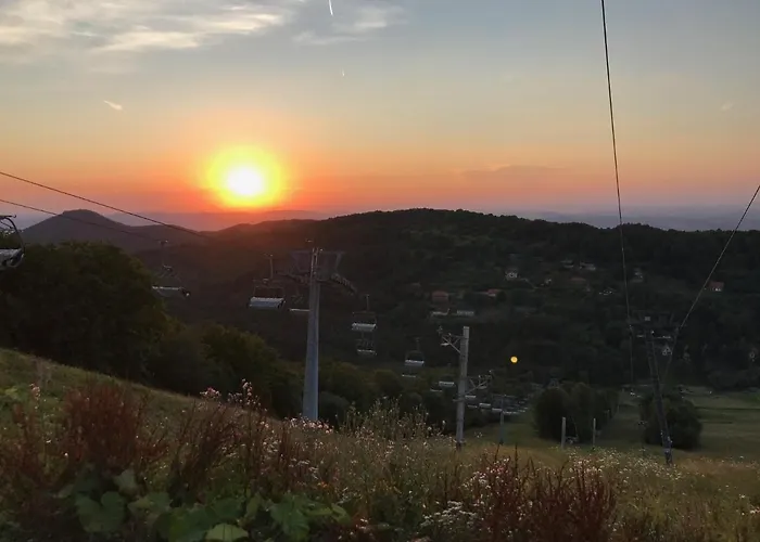 21 Es Fel Fenyo Vendeghaz