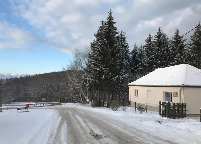 21 Es Fel Fenyo Vendeghaz * Matraszentlaszlo